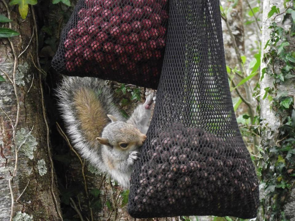 fishing 2 - 5755664636416670525421904023931n.jpg